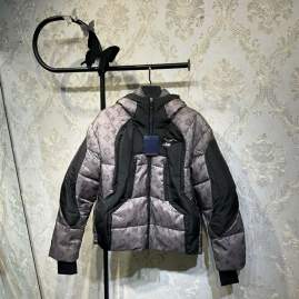 Picture of Louis Vuitton Down Jackets _SKULVM-3XL26yr2237641